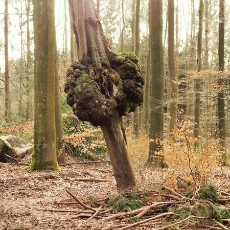 Characterful - Fantastic Place *